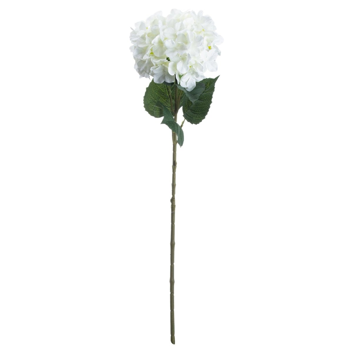 Single White Hydrangea - Home Accents