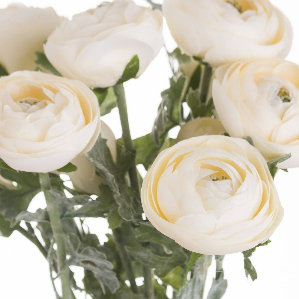 
                      
                        Soft Cream Ranunculus - Home Accents
                      
                    