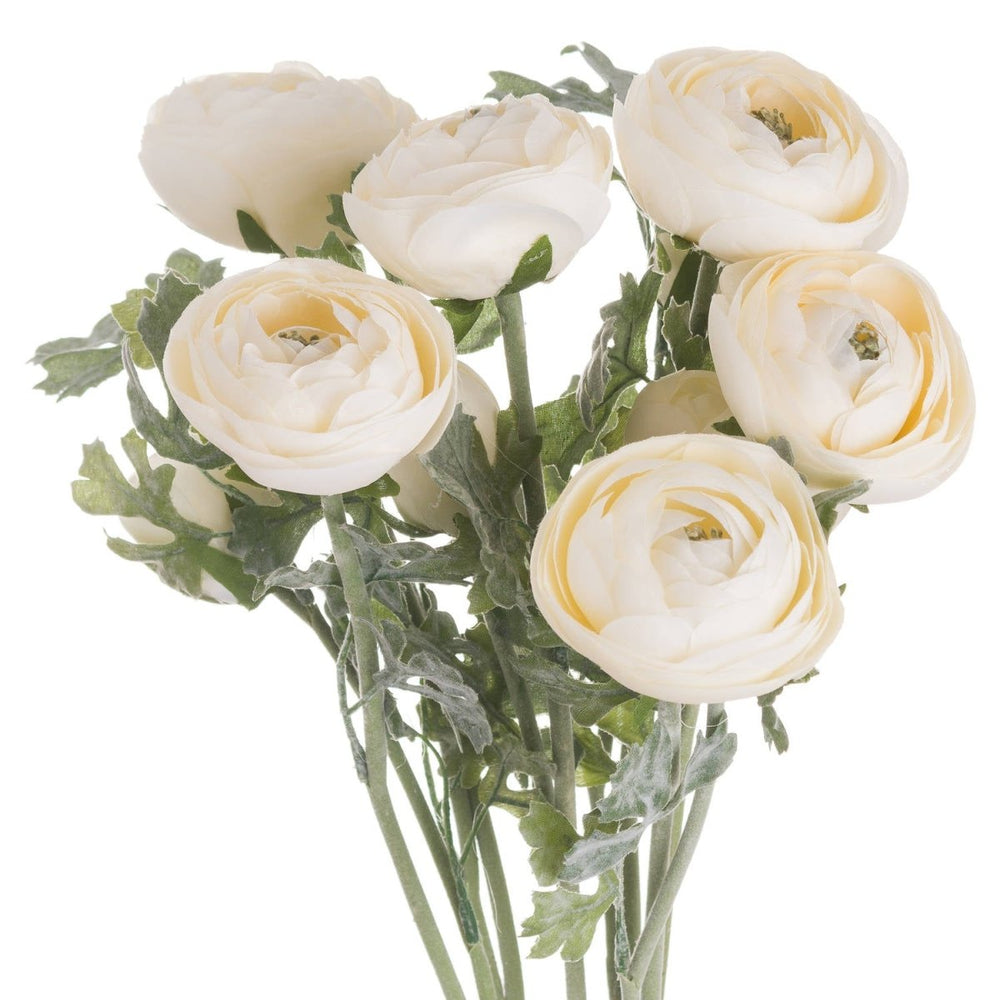 
                      
                        Soft Cream Ranunculus - Home Accents
                      
                    