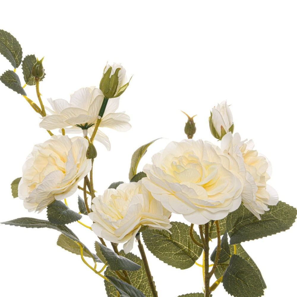 
                      
                        Soft White Cottage Rose Stem - Home Accents
                      
                    