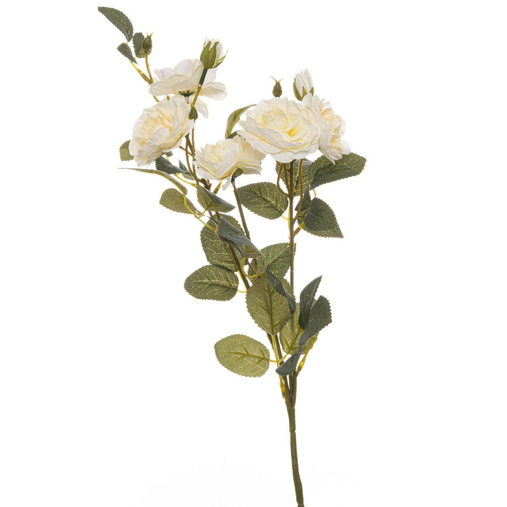 
                      
                        Soft White Cottage Rose Stem - Home Accents
                      
                    