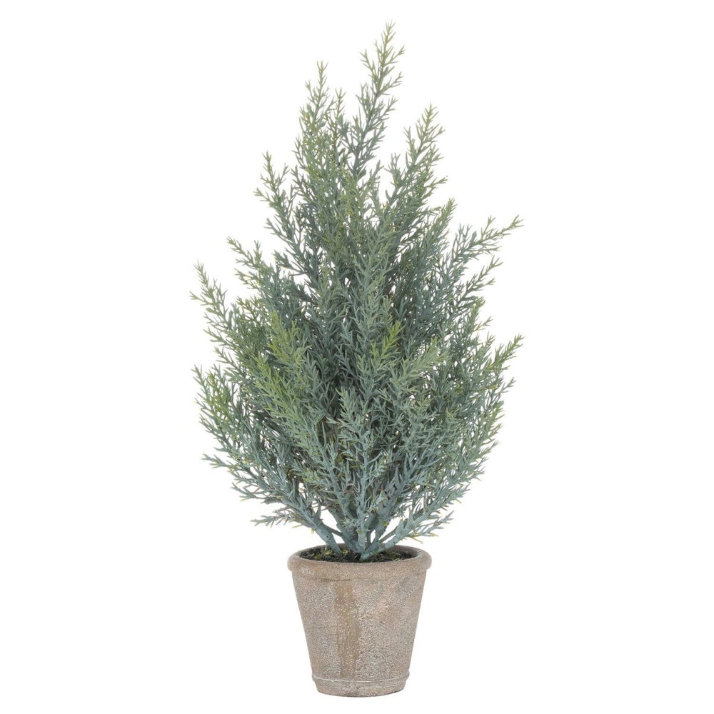 Squat Christmas Fir Tree In Stone Pot - Home Accents