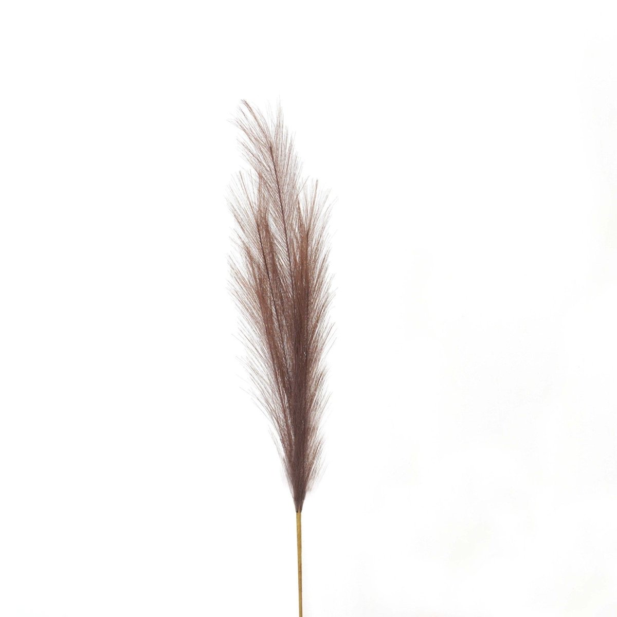 Taupe Faux Pampas Grass Stem -