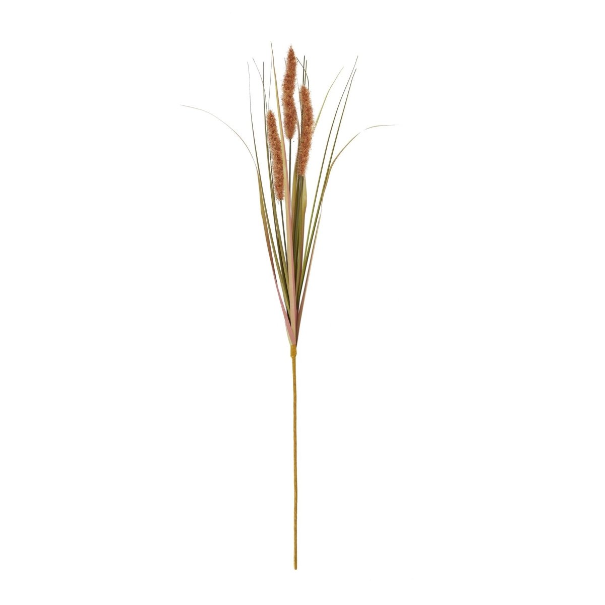 Terracotta Triple Grass Stem - Home Accents