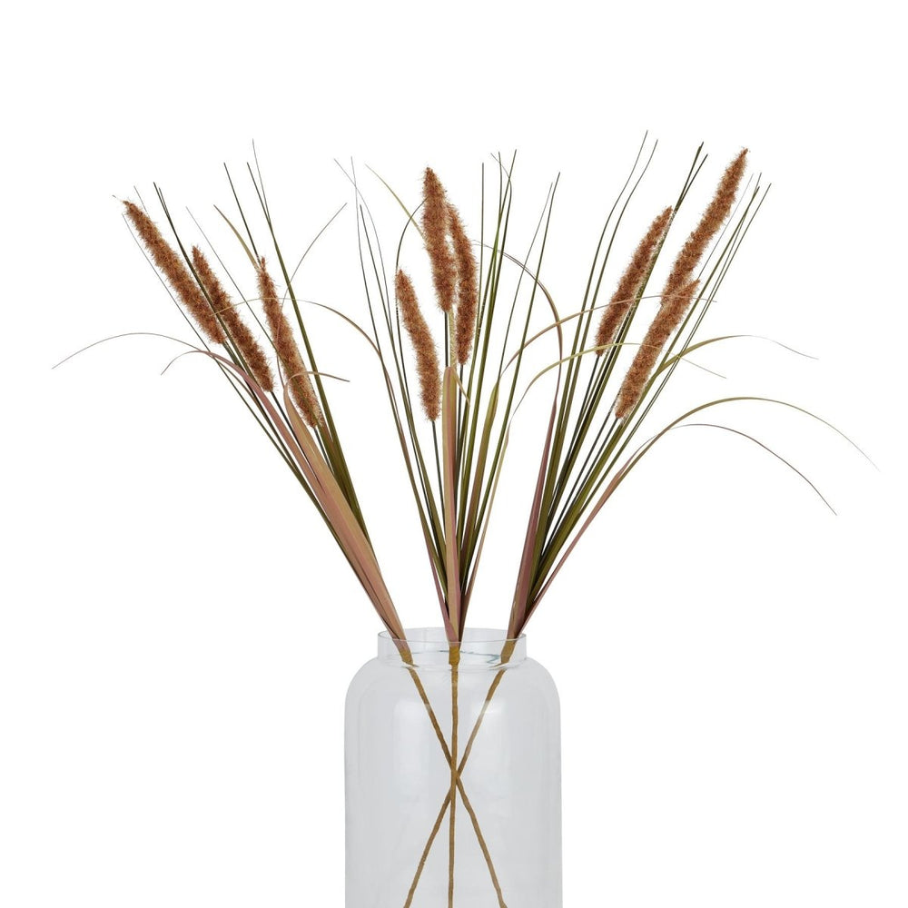 Terracotta Triple Grass Stem - Home Accents