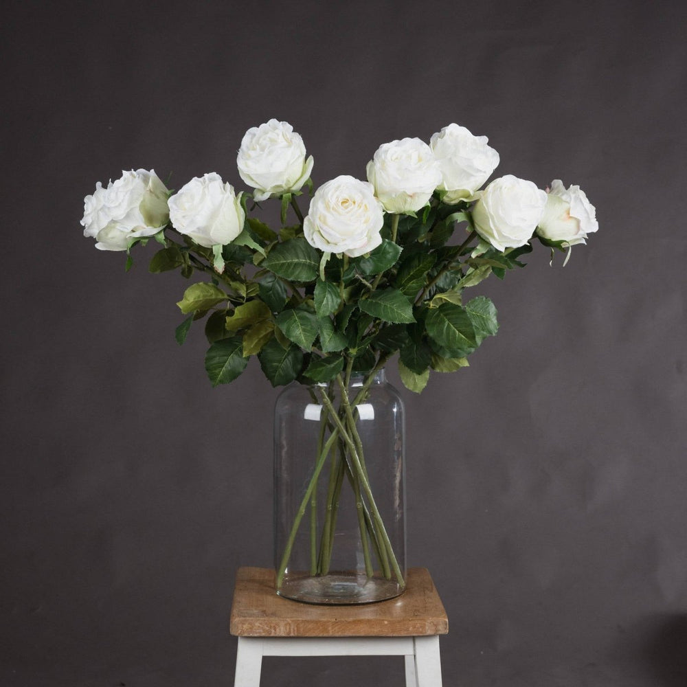 
                      
                        Traditional White Rose -
                      
                    