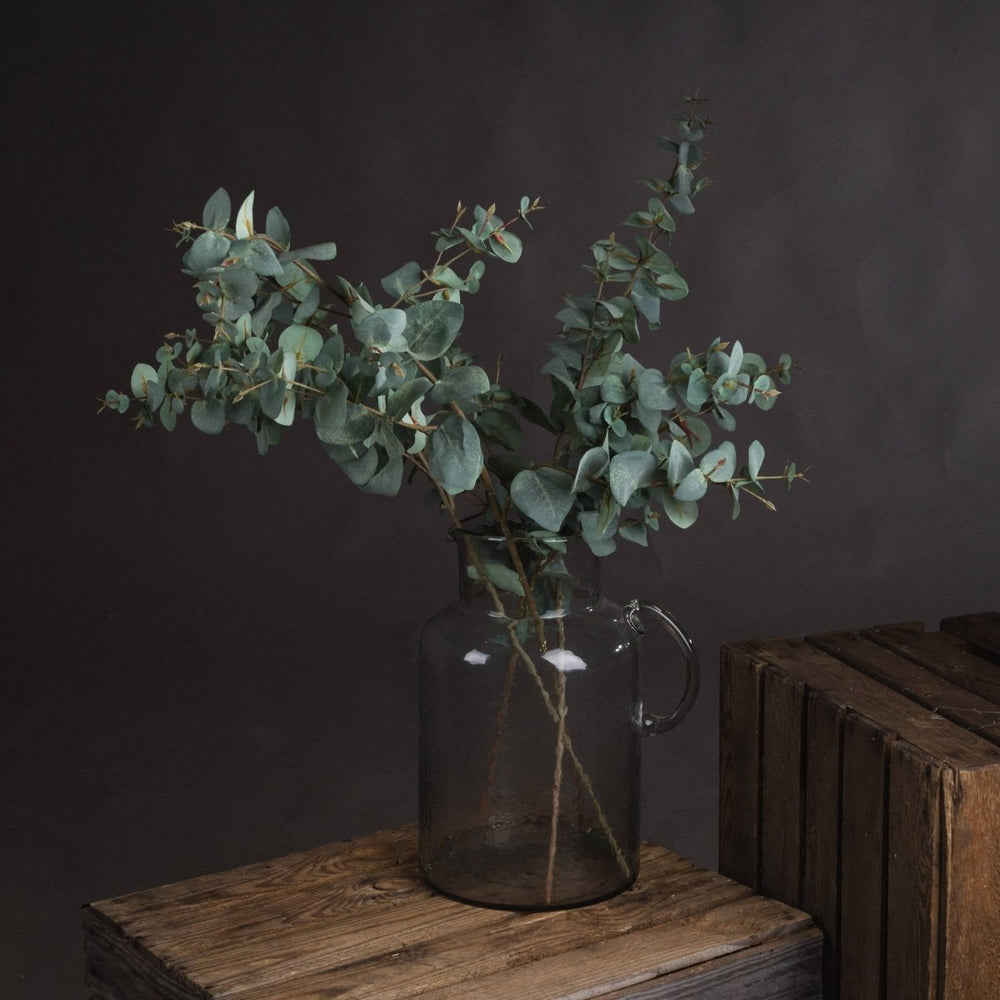 
                      
                        Variegated Eucalyptus -
                      
                    