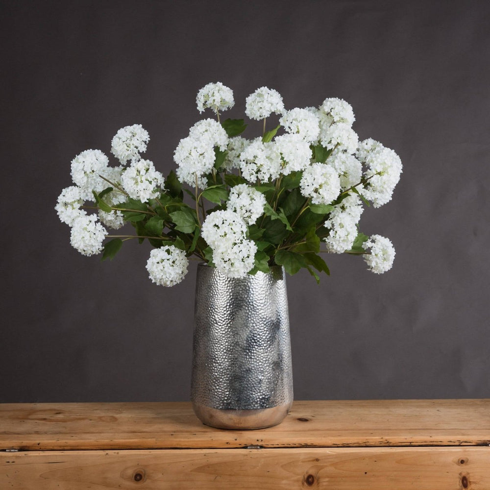 Viburnum Opulus - Home Accents