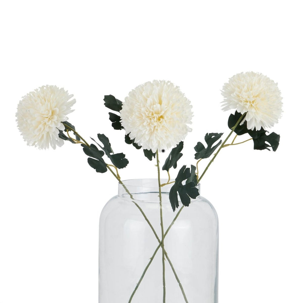 White Chrysanthemum Stem -