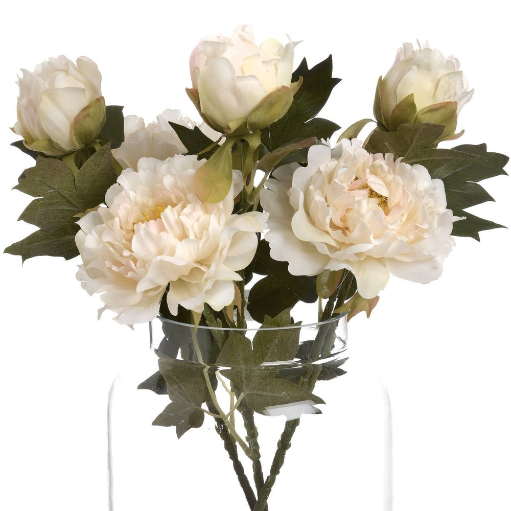 
                      
                        White Fashion Peony - Home Accents
                      
                    