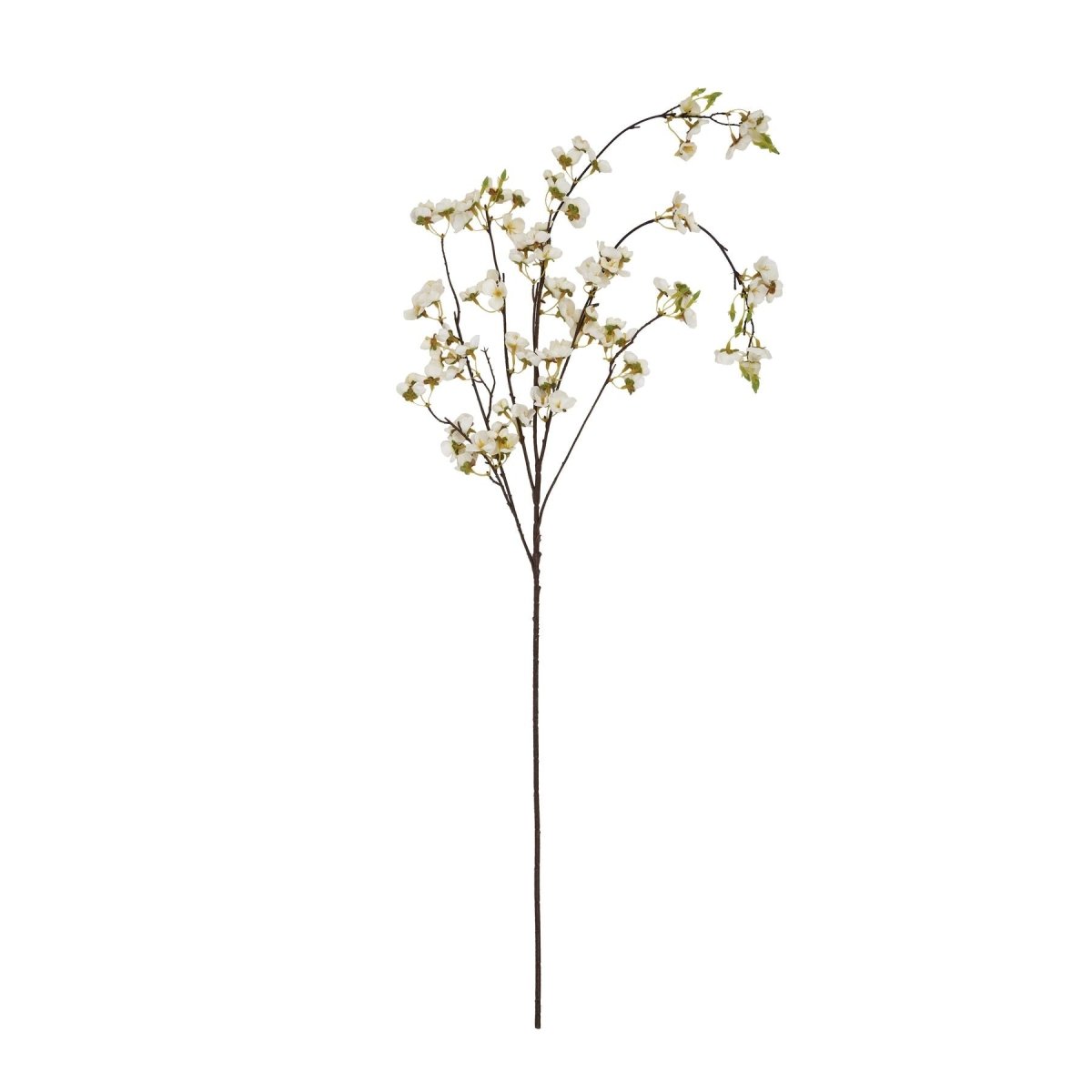 White Japanese Blossom - Home Accents