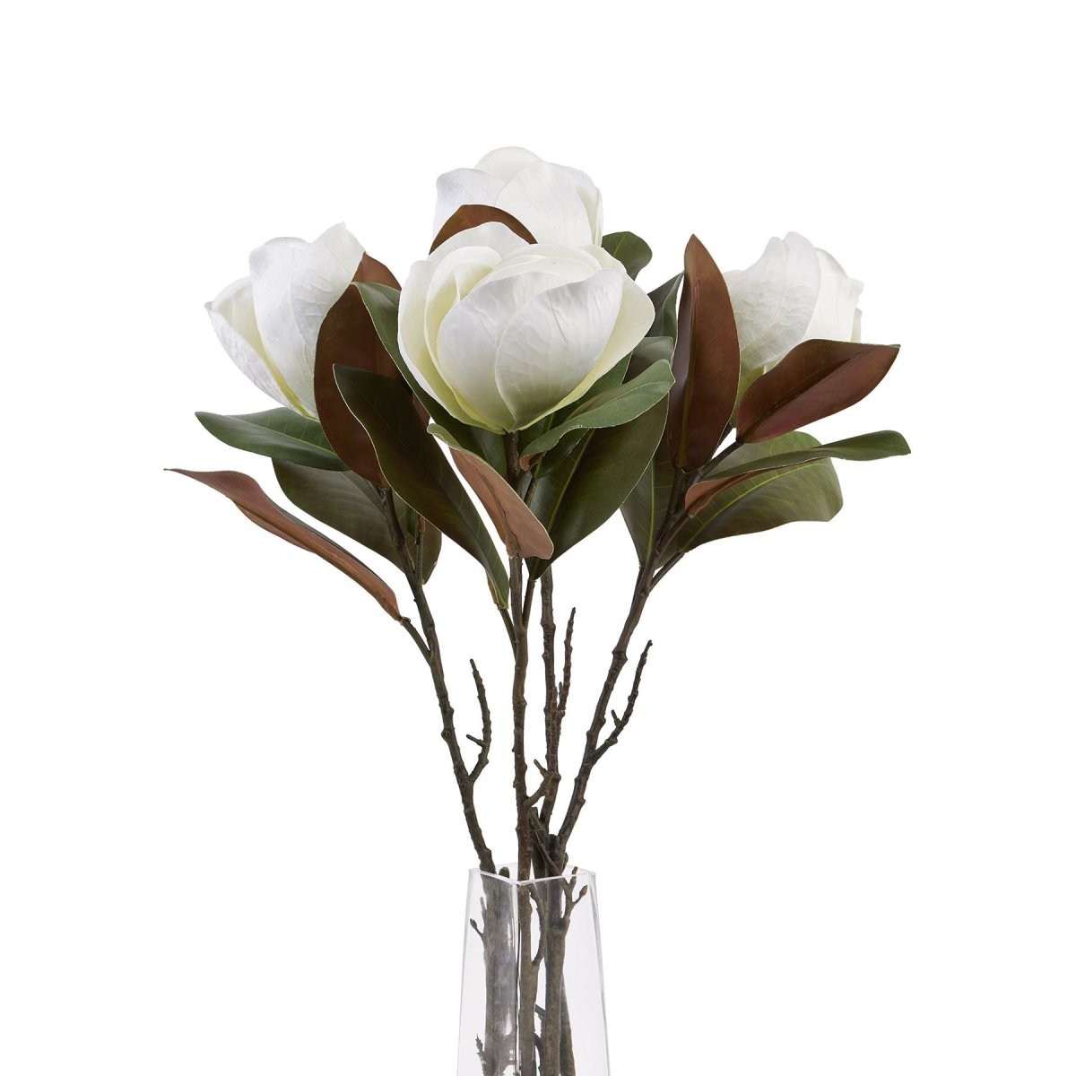 White Magnolia Stem - Home Accents