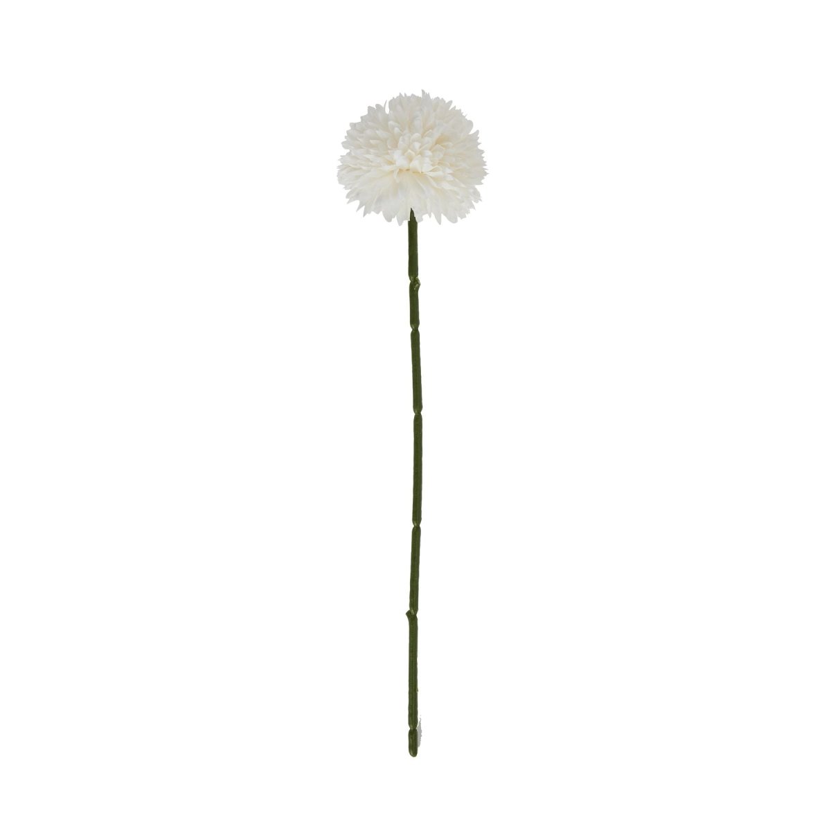 White Short Chrysanthemum - Home Accents