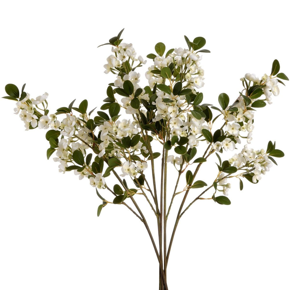 
                      
                        White Spring Mock Orange Flower - Home Accents
                      
                    