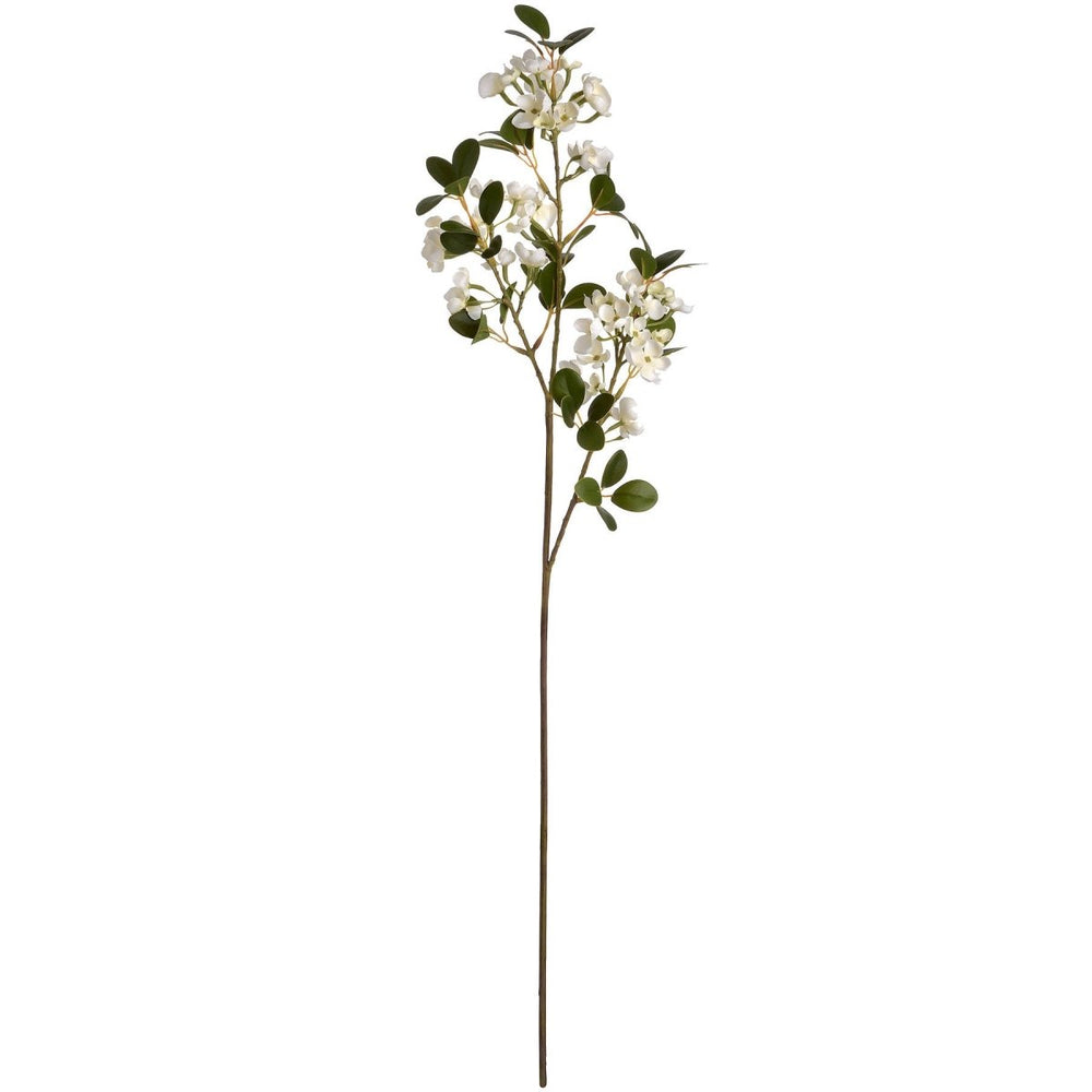 
                      
                        White Spring Mock Orange Flower - Home Accents
                      
                    